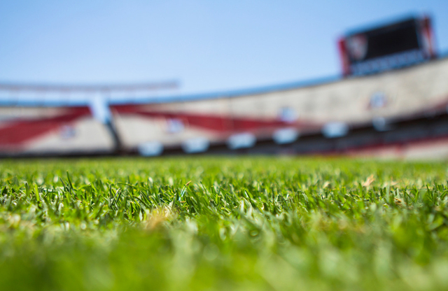 Imagen de referencia estadio municipal