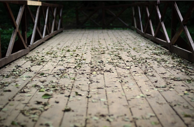 Imagen de referencia puente