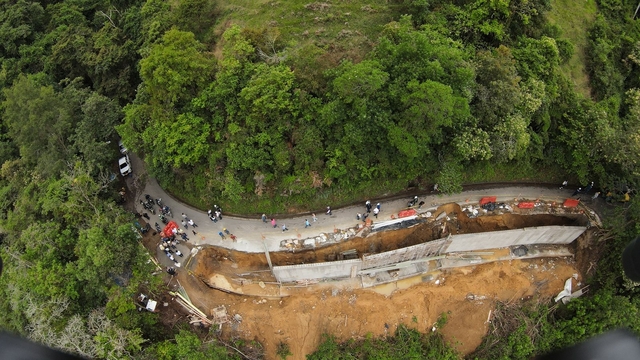 Cocora 1