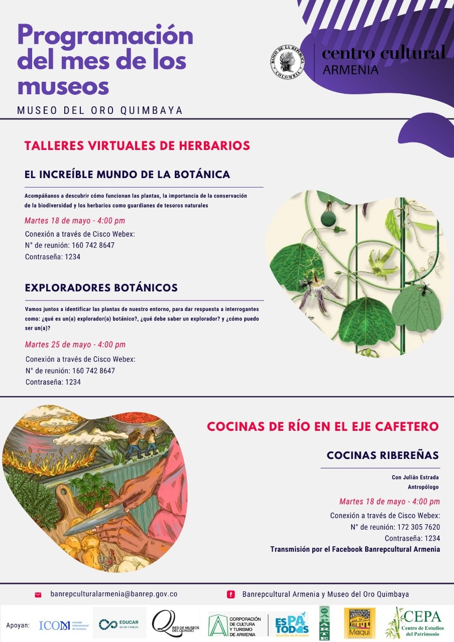 Programacion del mes de los museos