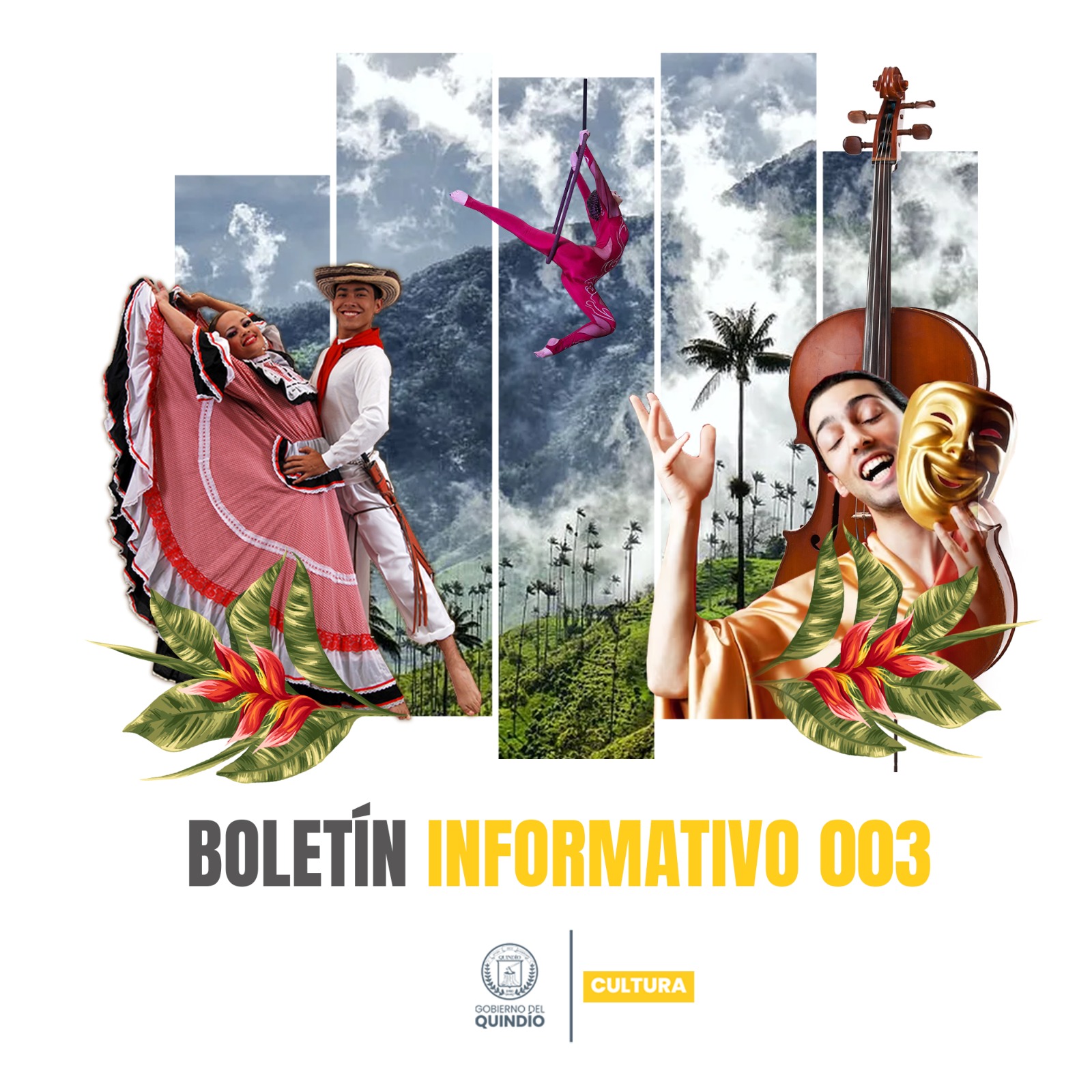 BOLETÍN INFORMATIVO 003