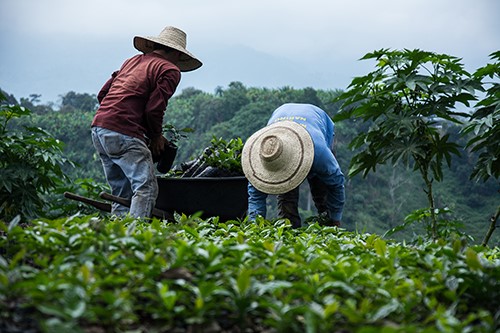 Los proyectos agropecuarios Para que el campo vuelva a vivir serán uno de los temas principales durante CórdobaSíparati