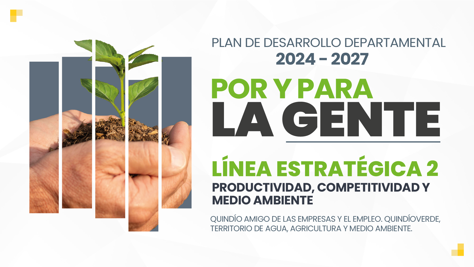 P Lineas Estrategicas 02