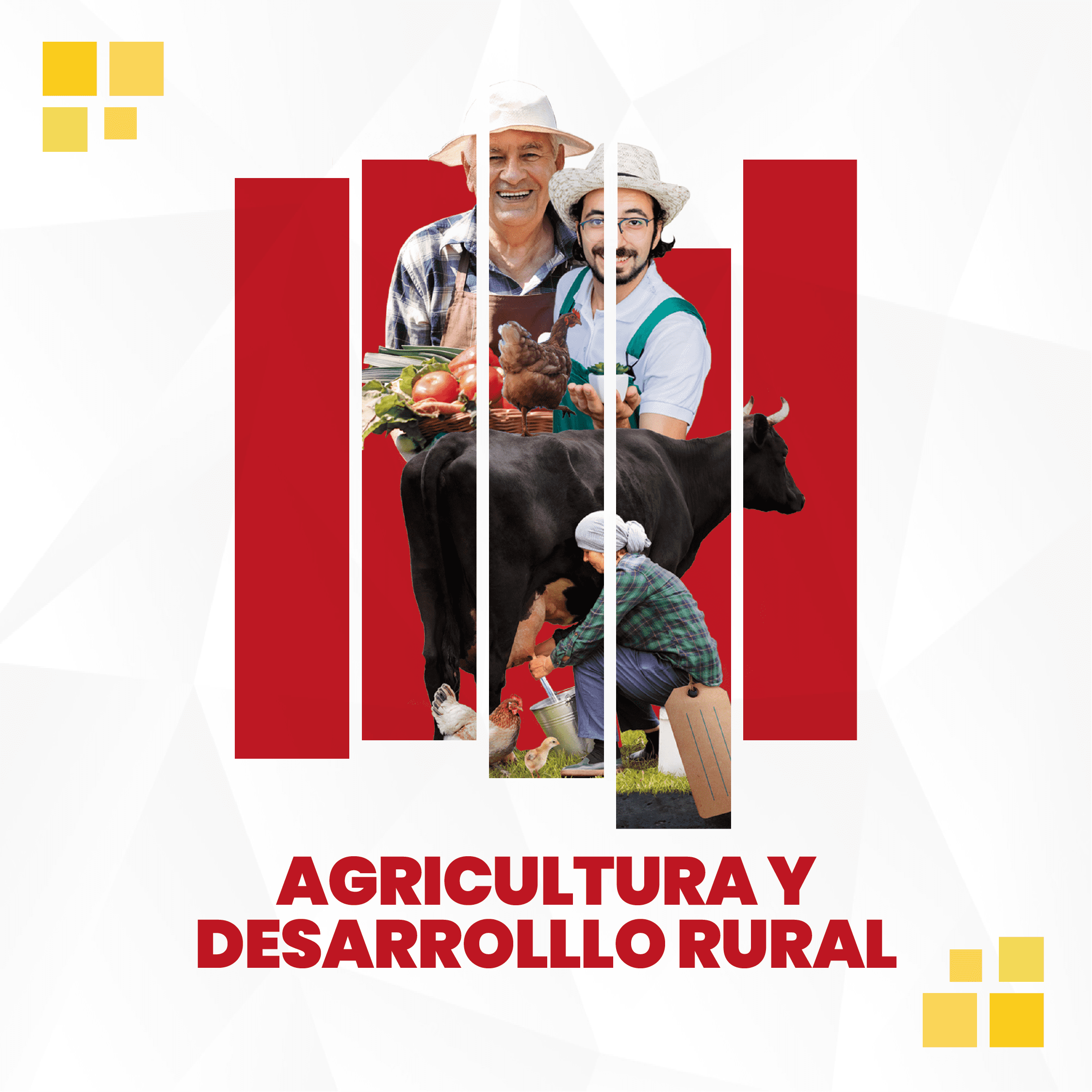 Portadas 01