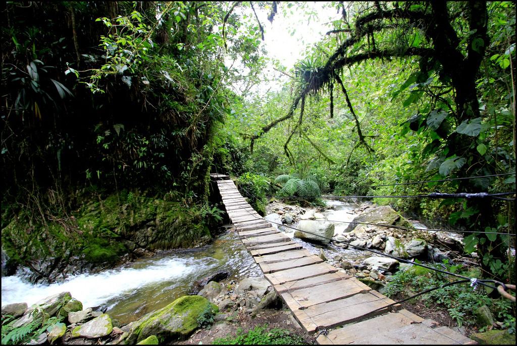 03 CAMINO DEL QUINDIO