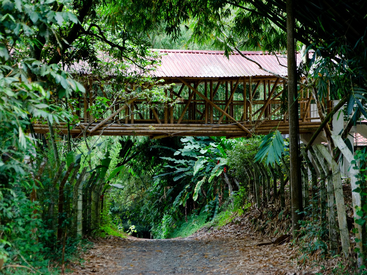 centro experimentalguadua