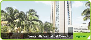 img-ventanilla-departamental.jpg - 23.26 kB