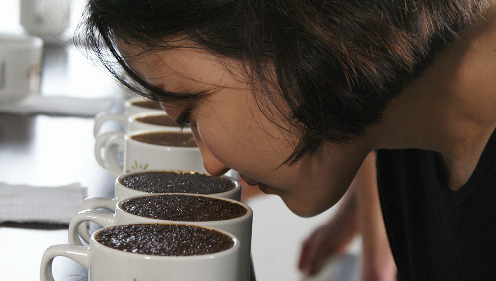 Balance positivo dejó a los caficultores quindianos Subasta Internacional de Café Especial