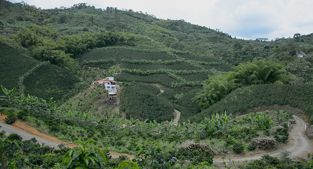 OCAD Eje Cafetero aprobó la construcción de 10.4 kilómetros de placa huella en el Quindío