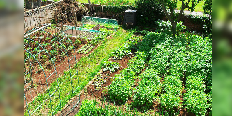 Hoy se vivirá en Montenegro el Segundo Ciclo de Articulación Agrocomercial en el Quindío