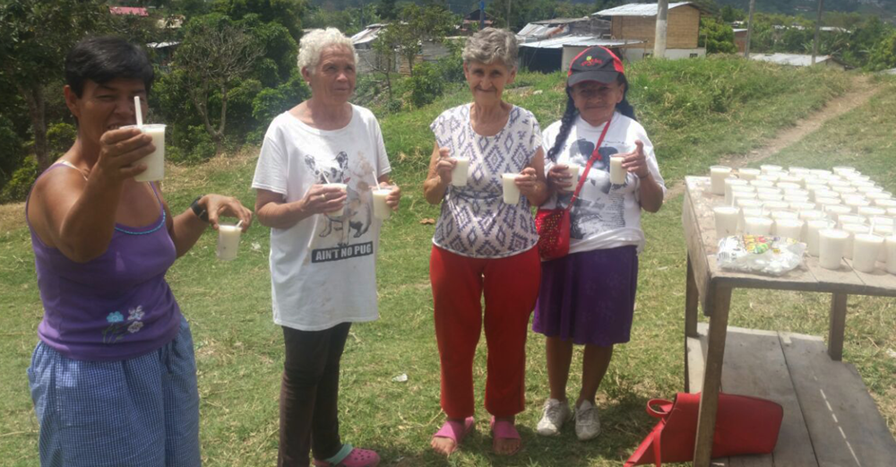 Con la campaña Abrazos Como Arroz la Secretaría de Familia proporcionará espacios de interacción y esparcimiento a adultos mayores del Quindío