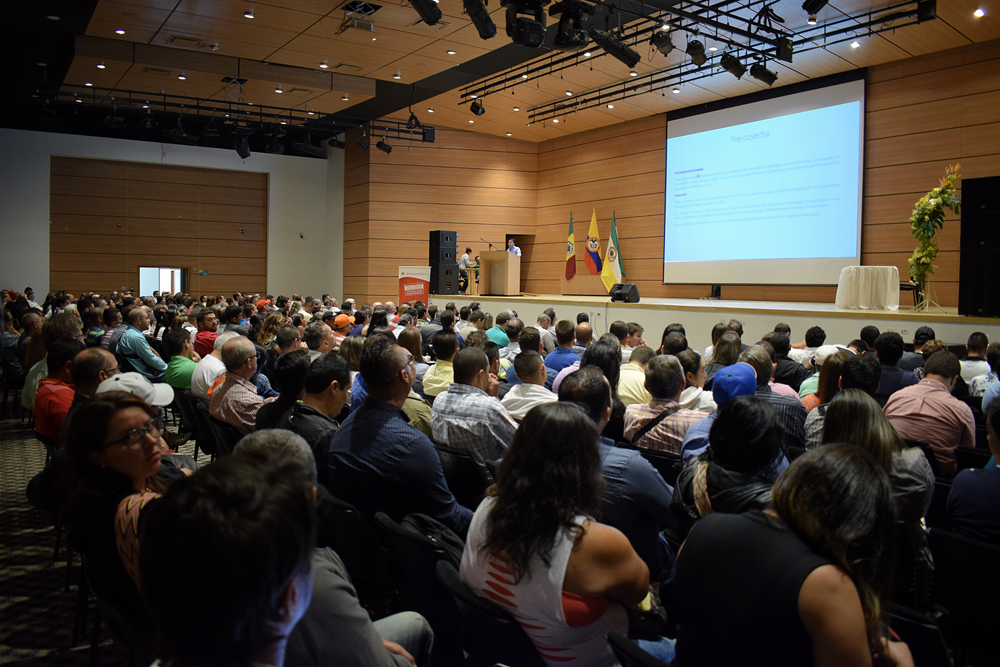 Seminario de Actualización Técnica en el Cultivo de Aguacate estrategia de la Gobernación para apalancar el sector