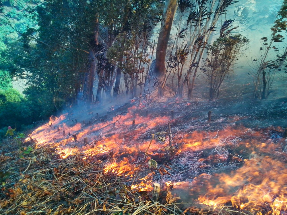 Varios municipios quindianos en alerta naranja por ola de calor