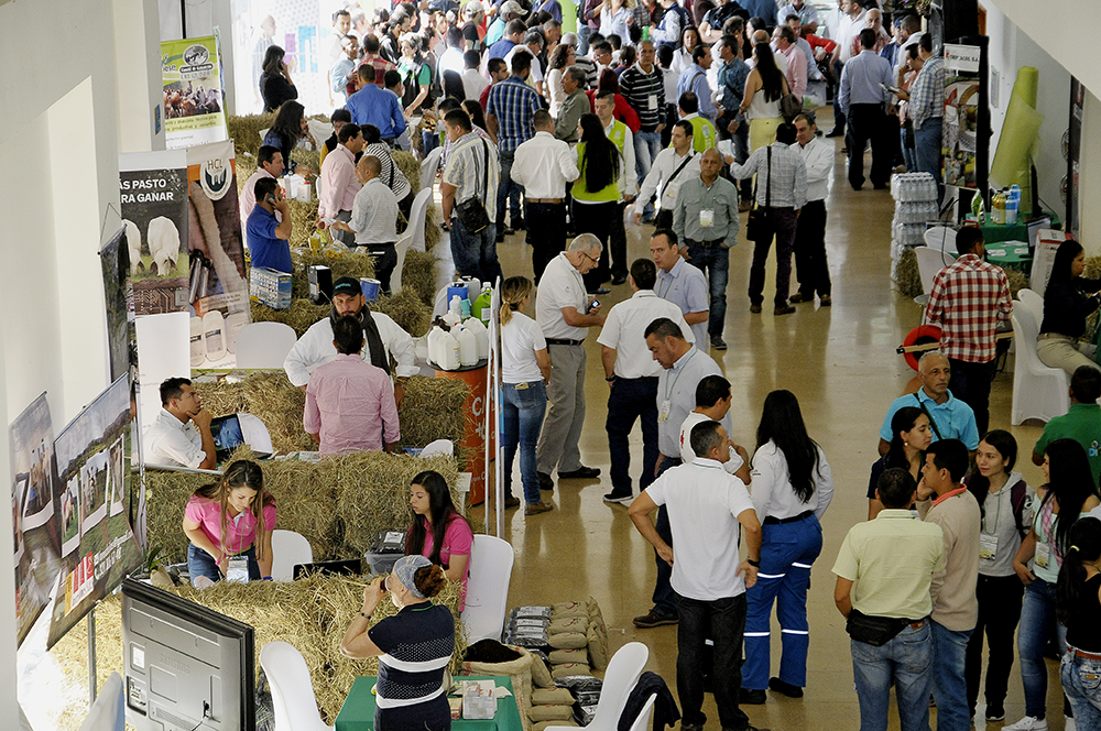 Gobernación del Quindío trabaja de manera articulada por el progreso del sector ganadero