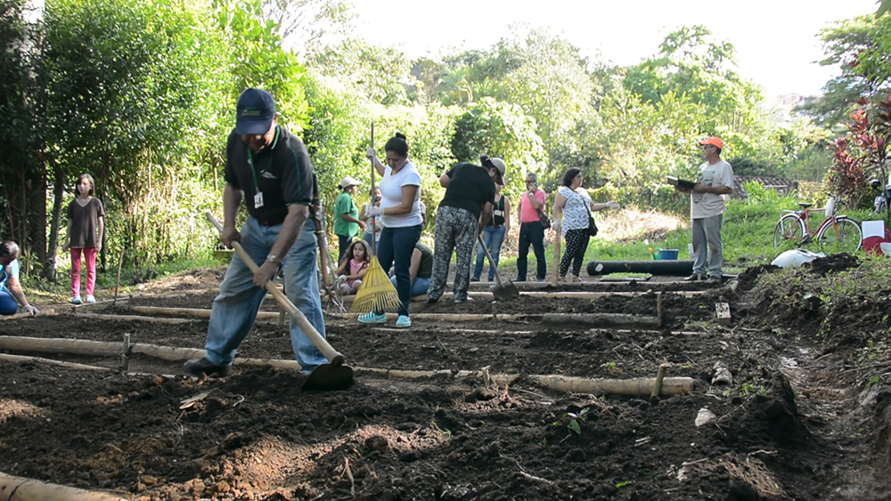 Huertas orgánicas mercados campesinos subastas internacionales de café y ciclos agrocomerciales principales acciones del gobierno departamental en pro del campo