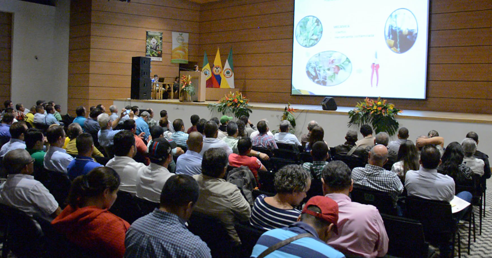 Gobernación del Quindío capacitó a productores de cítricos para prevenir enfermedades en sus cultivos