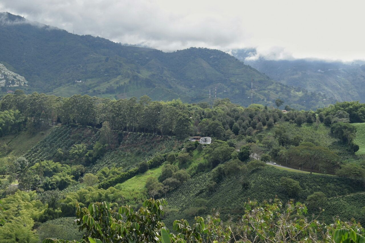 En el Primer Simposio Internacional del Paisaje procurador General de la Nación y gobernadores del PCC firmarán pacto para salvaguardar el paisaje