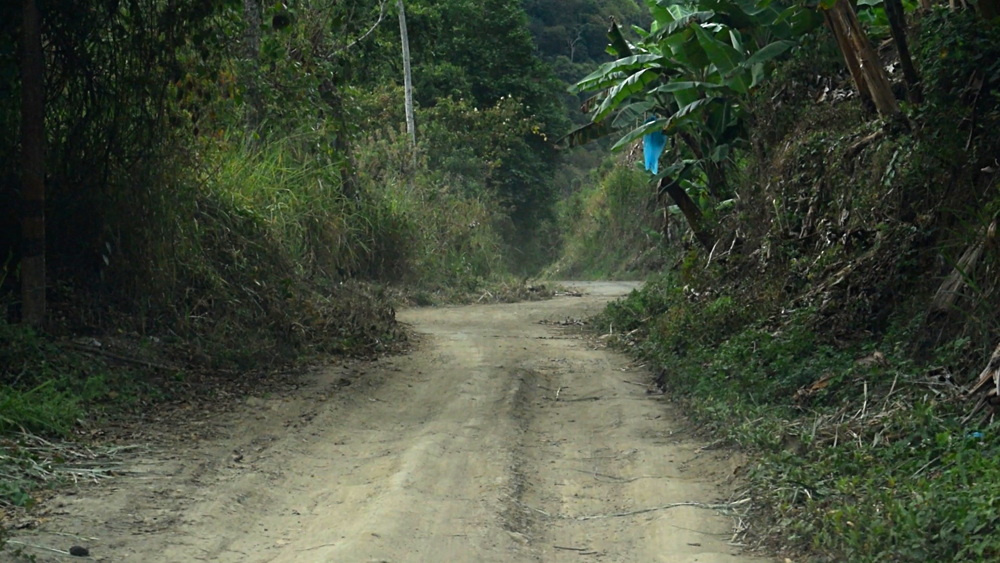 Gobierno departamental presentará proyecto para construir vía Pijao Génova al OCAD Paz