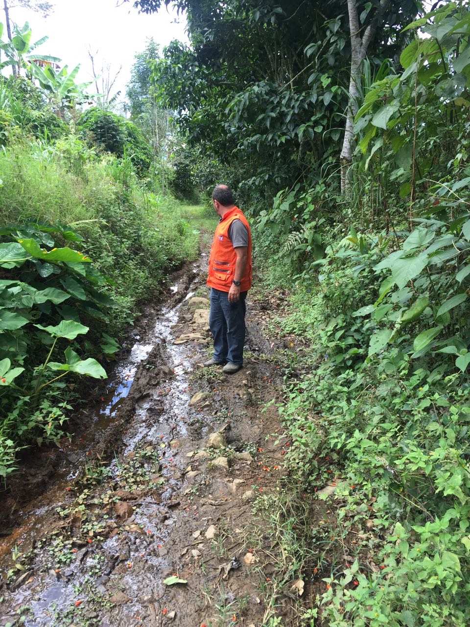 Administración departamental abriendo caminos para los campesinos de Pijao