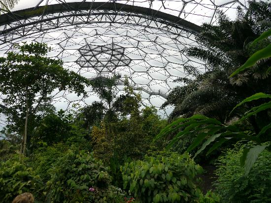 Gracias a la gestión de la administración departamental el Quindío podría ser sede del Proyecto Biome