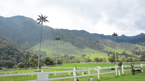 Por ser referencia paisajística mundial el Quindío será la sede del primer simposio internacional Pensar y Sentir el Paisaje