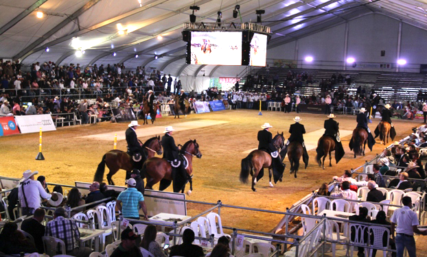 Gobernación del Quindío apoyará la versión 49 de la Exposición Equina un evento que fortalecerá el turismo de la región