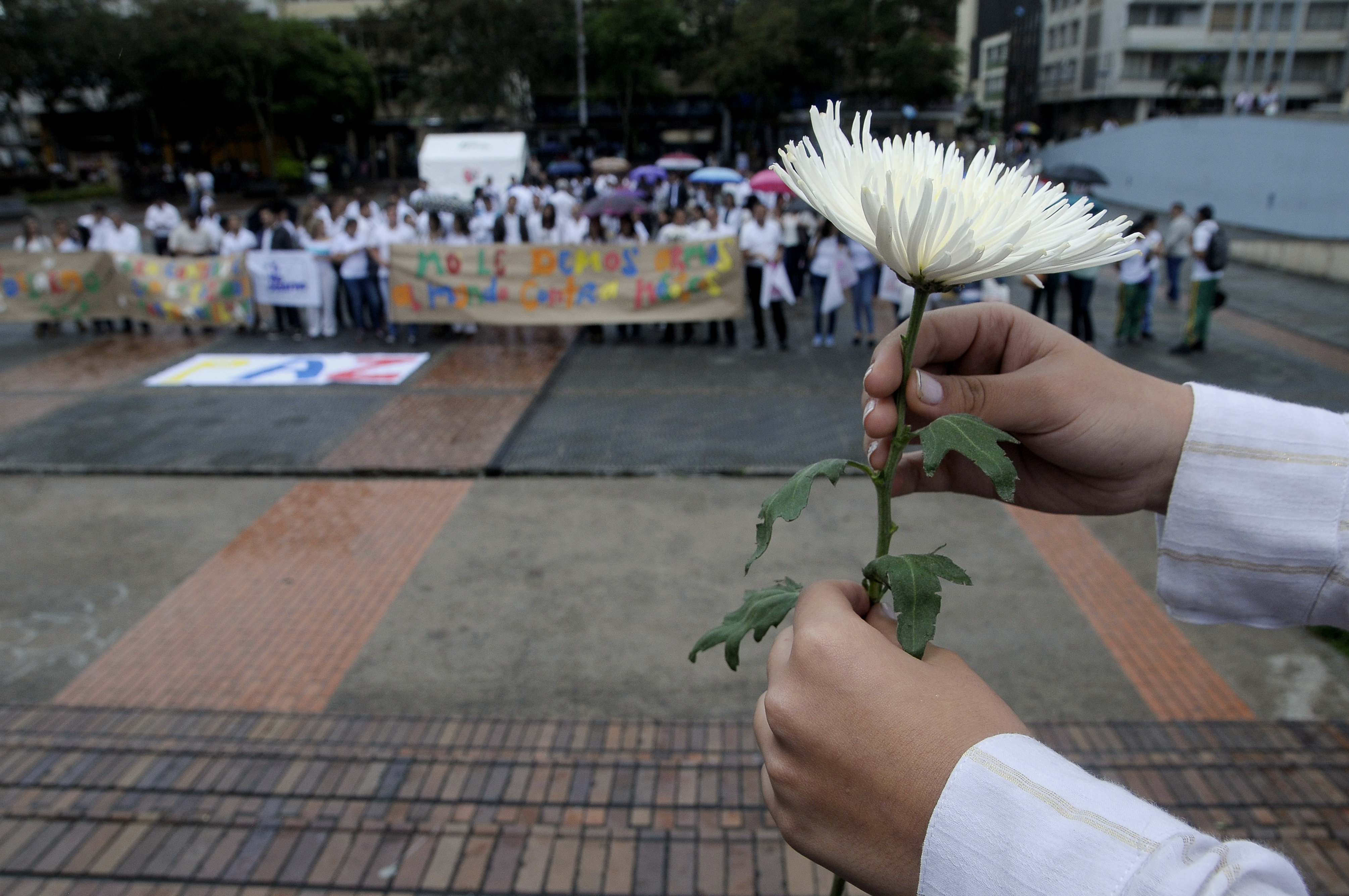 En el Quindío somos amigos de la paz y le apostamos a todas las acciones para lograrla gobernadora e 