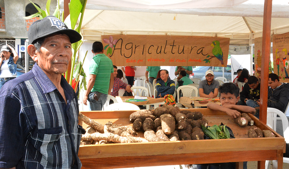 Gobierno departamental presentó ante el Ministerio de Agricultura iniciativas que buscan mejorar el desarrollo productivo y rural del Quindío