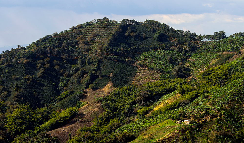 Por su condición topográfica Quindío fue elegido para realizar proyectos que detecten con anticipación la ocurrencia de fenómenos naturales