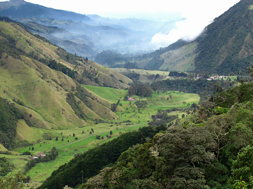 Gobernación del Quindío busca enfrentar los efectos del cambio climático con la participación de la comunidad