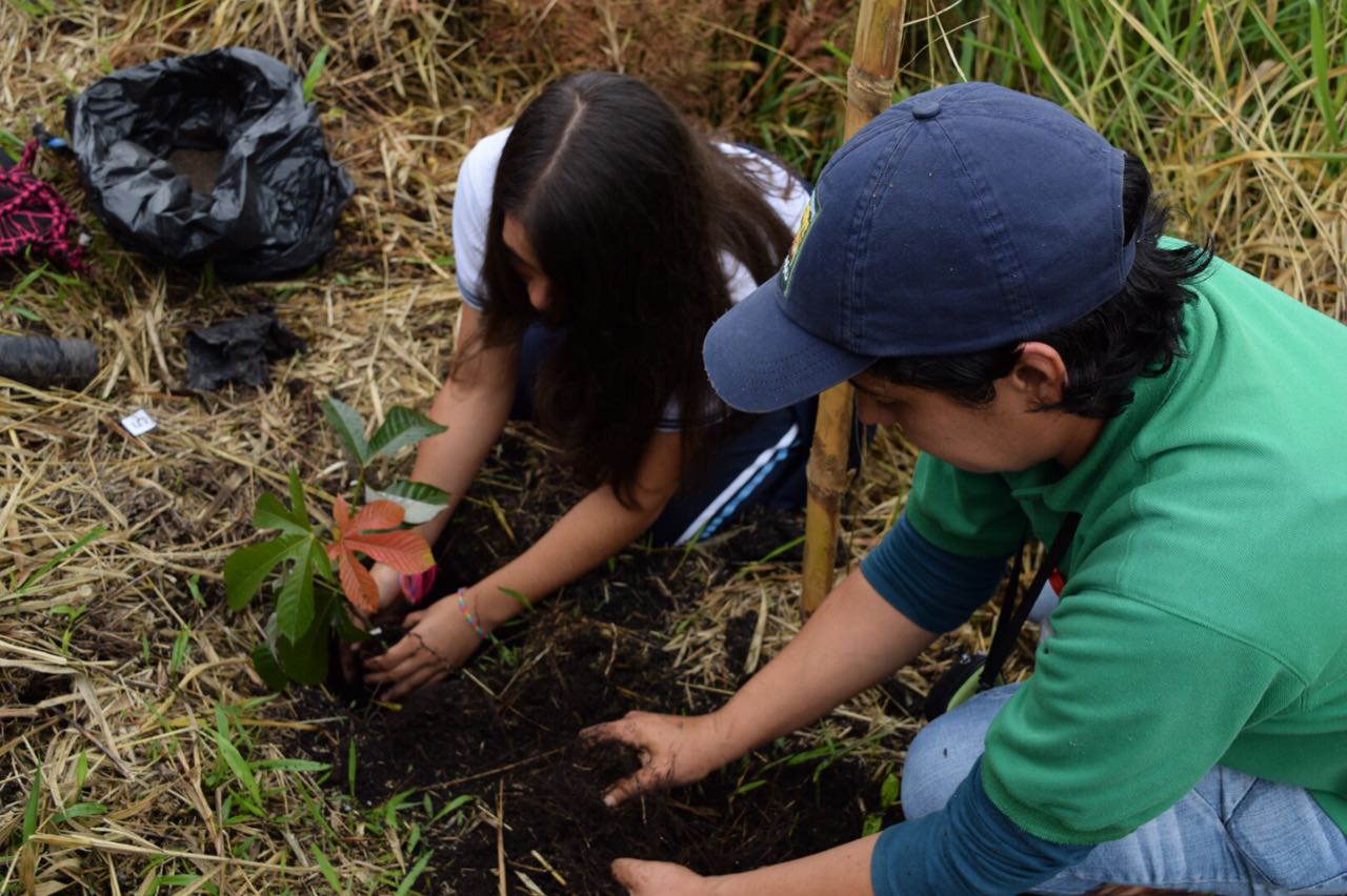 Con siembra de árboles en las áreas de conservación Gobernación del Quindío celebró el Día Mundial del Agua