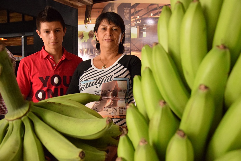 El campo del Quindío se fortalece con alianzas productivas