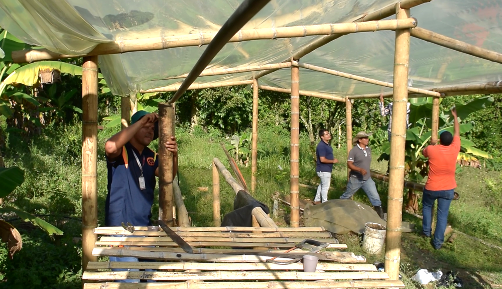 Gobernación construirá 5 biofábricas para la producción de material vegetal