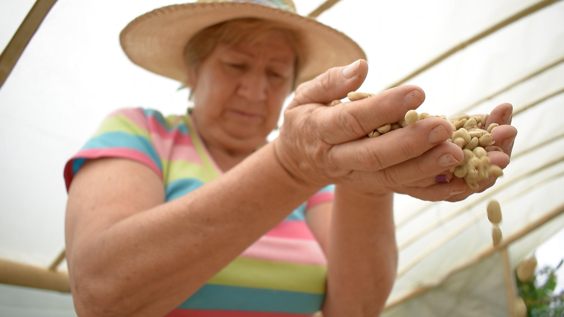 Se construye Red de Mujeres del Eje Cafetero