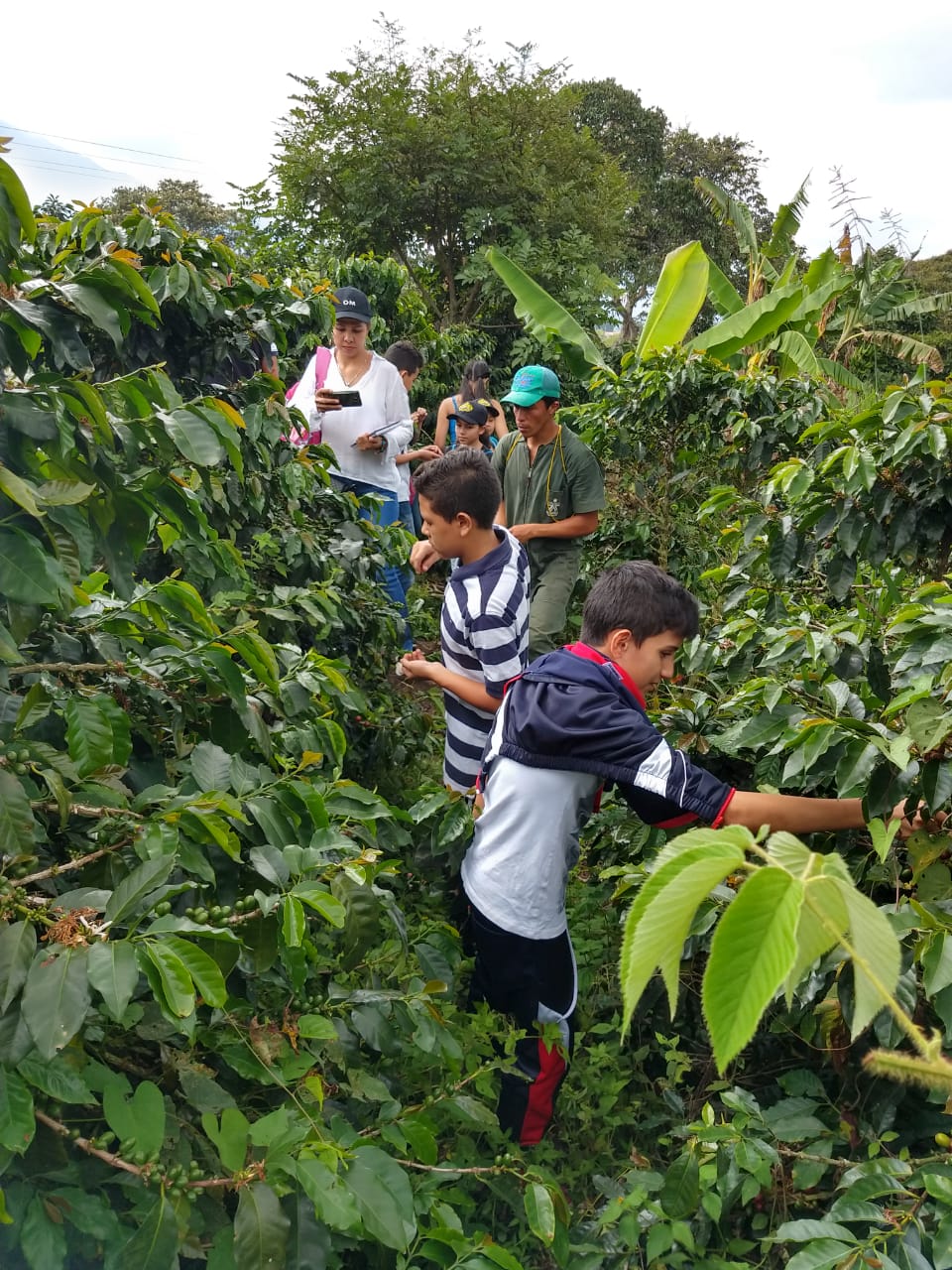 Jóvenes de Córdoba interpretan el Paisaje Cultural Cafetero con danza