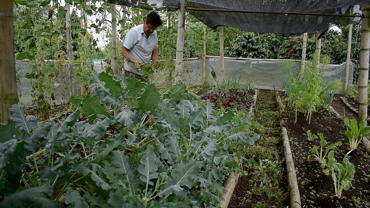 En marcha construcción del Plan Departamental de Extensión Agropecuaria PDEA