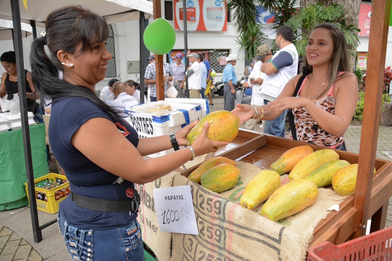 Gobierno departamental incentiva la produccion de alimentos para el desarrollo de las familias campesinas del Quindio 1